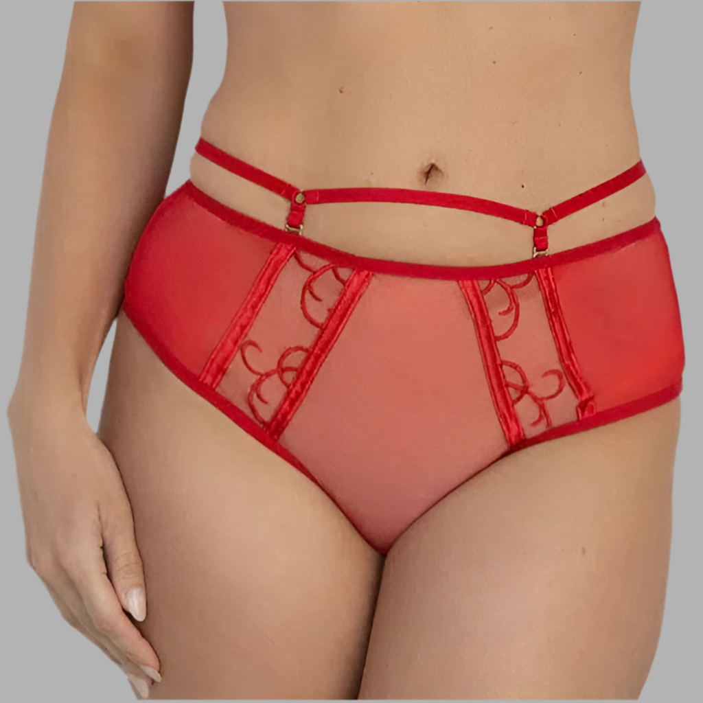 Fit Fully Yours - Alexa Brief - More Colors